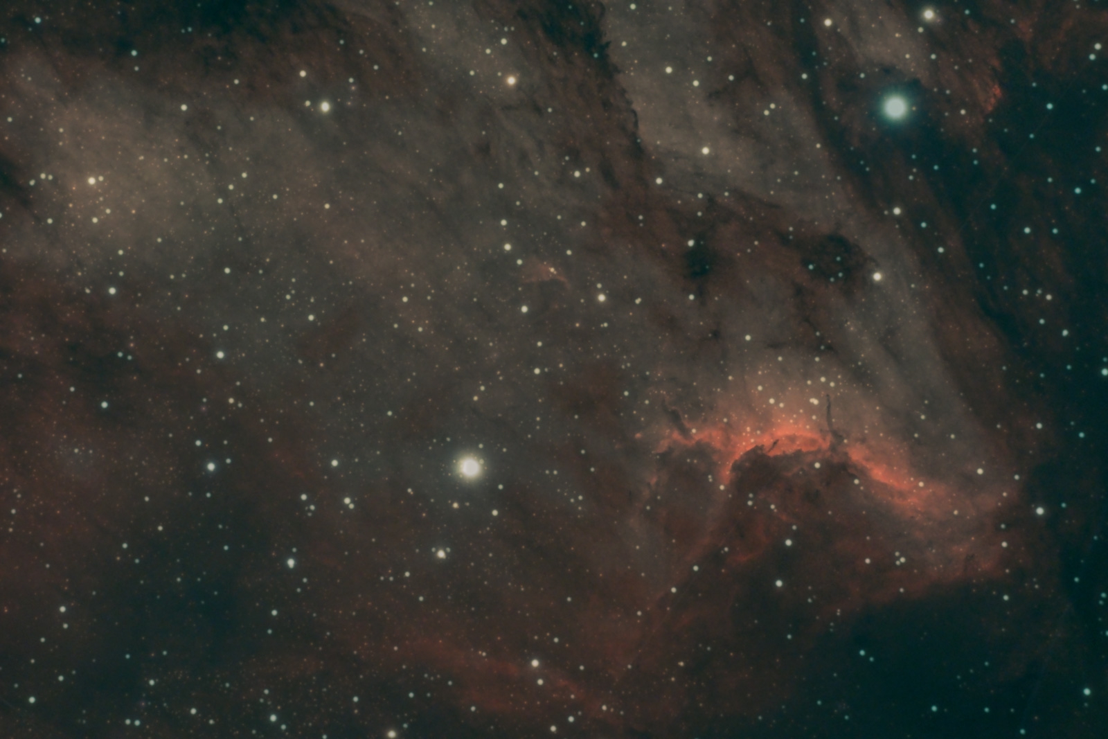 IC 5070 – Nebulosa del Pelícano