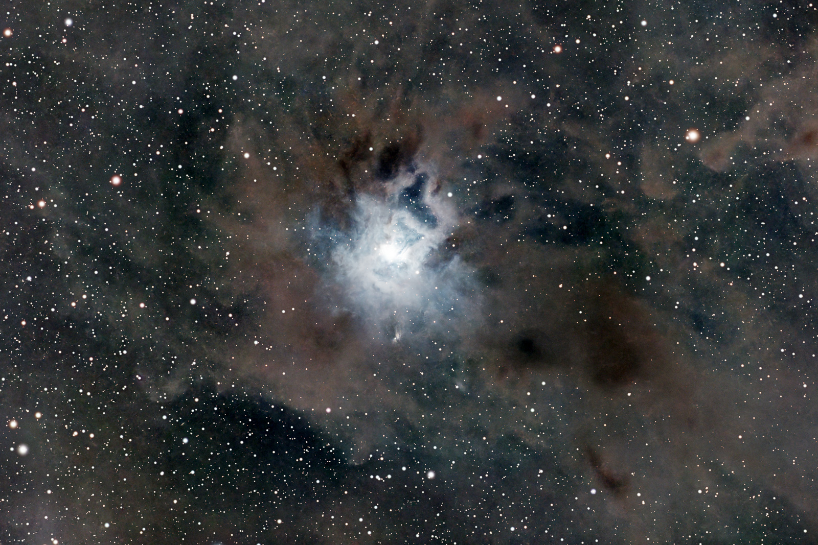 NGC 7023 – Nebulosa Iris, Los Molinos, Madrid — Fran Bataller