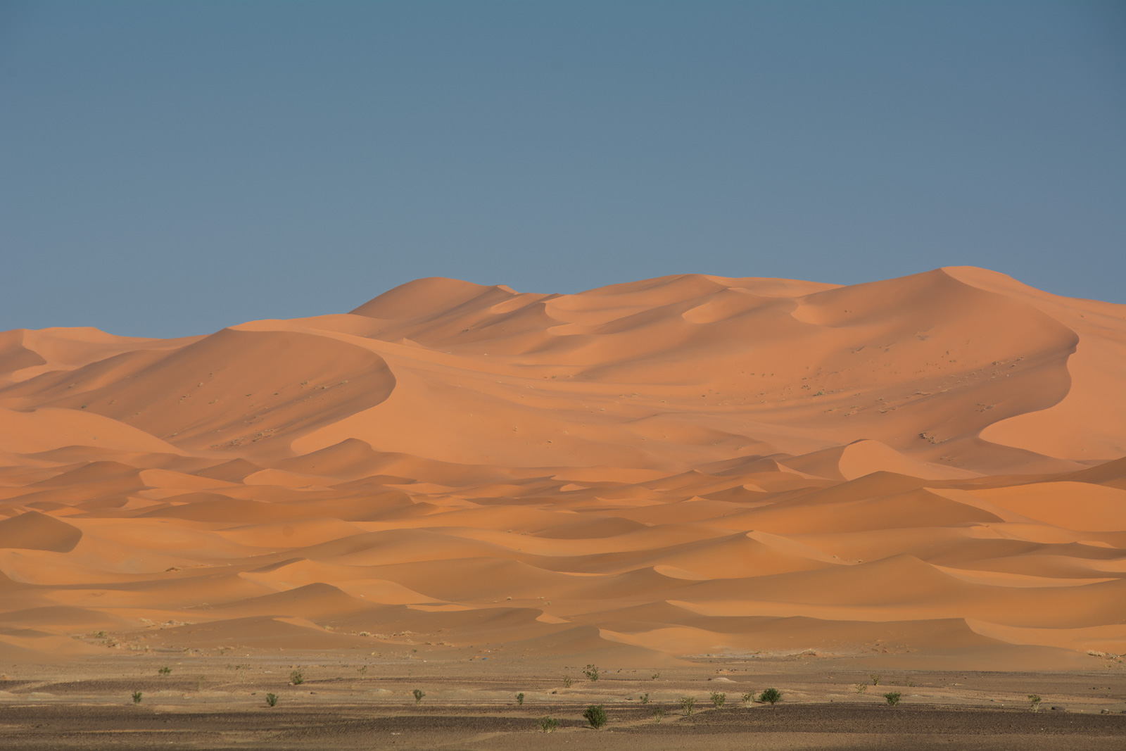 Las dunas del erg